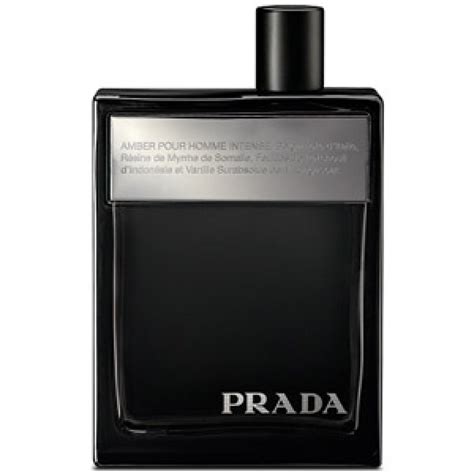 amber pour homme prada avis